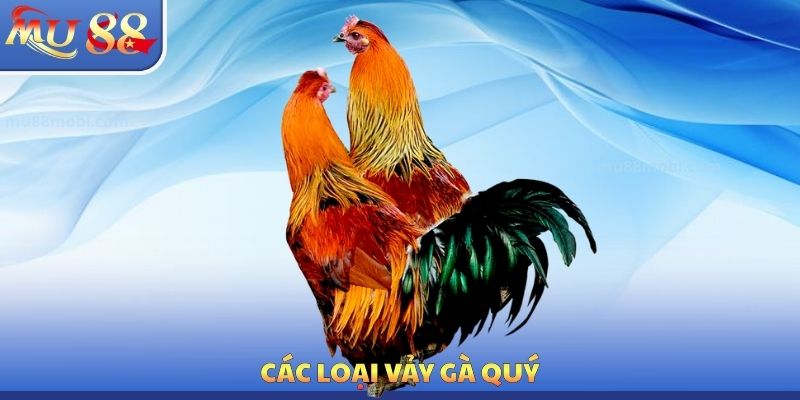 Vảy Gà Quý MU88 - Phương Pháp Tìm Kiếm Chiến Kê Mạnh Mẽ