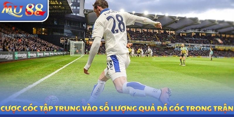 Kèo Phạt Góc | Thông Tin Cách Đọc & Chiến Thuật Phân Tích