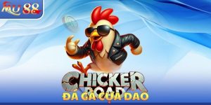 Đá Gà MU88 - Luật Chơi Chính Xác Cần Phải Tìm Hiểu Cẩn Thận