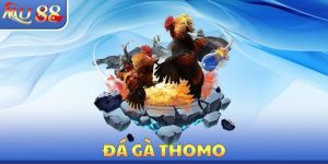 Đá Gà MU88 - Luật Chơi Chính Xác Cần Phải Tìm Hiểu Cẩn Thận