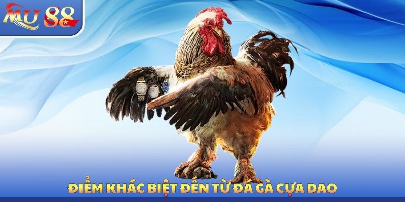 Đá Gà Cựa Dao MU88 - Tiêu Chí Đánh Giá Vũ Khí Chính Xác