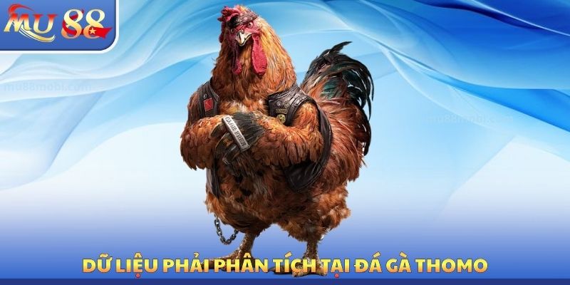 Đá Gà Thomo MU88 - Tận Dụng Quyền Lợi Cá Cược Hấp Dẫn