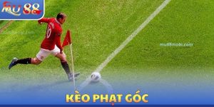 Thể Thao MU88 - Cá Cược Độc Đáo, Đoán Kết Quả Kiếm Tiền