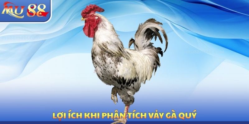 Vảy Gà Quý MU88 - Phương Pháp Tìm Kiếm Chiến Kê Mạnh Mẽ