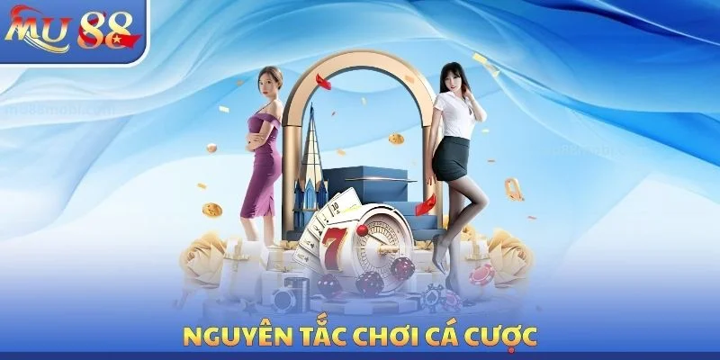 Điều Khoản Sử Dụng - Thông Tin Hội Viên Cá Cược Nên Ghi Nhớ