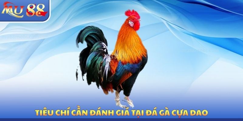 Đá Gà Cựa Dao MU88 - Tiêu Chí Đánh Giá Vũ Khí Chính Xác