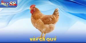 Đá Gà MU88 - Luật Chơi Chính Xác Cần Phải Tìm Hiểu Cẩn Thận