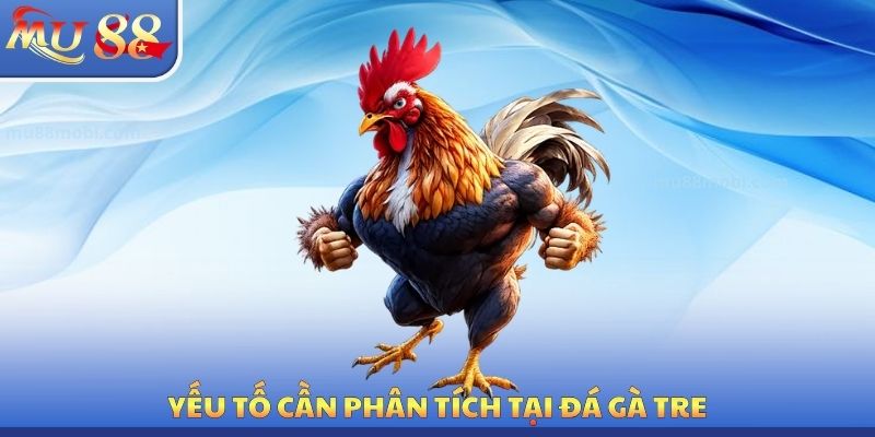 Đá Gà Tre MU88 - Phân Tích Cẩn Thận Để Giành Chiến Thắng